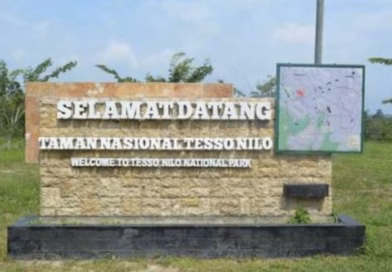 Rumah Penting bagi Gajah Sumatera,Taman Nasional Tesso Nilo Sumatera Terancam “Direbut” Manusia